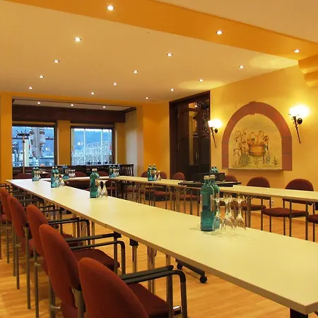 Hotel Parkhotel Rüdesheim Rüdesheim am Rhein